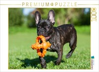 Calvendo Puzzle FranzöSische Bulldogge Welpe | 1000 Teile Lege-GrößE 64 × 48 Cm