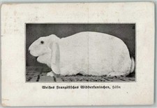 13185465 - Weisses Franzoes. Widderkaninchen Haesin AK Hase 1919 Gebrauchsspuren