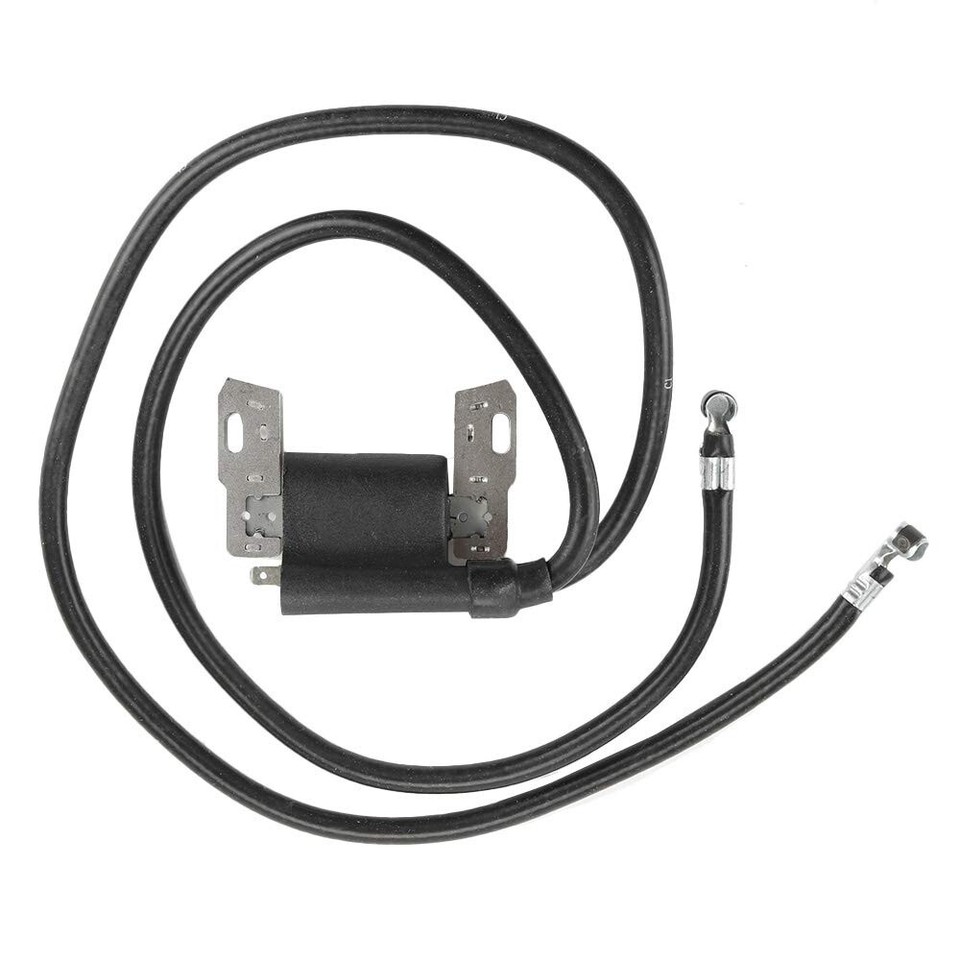 Ignition Coil Magneto Replaces Briggs & Stratton 460707 460777 - Foto 10