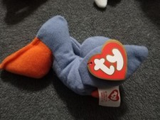 Teenie Beanie Babies Collection Scoop