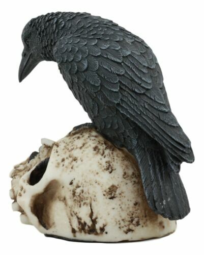 Foreboding Dark Crow Raven On Skull Statue 5"Tall Ossuary Scavenger Raven Bird - Picture 5 of 10