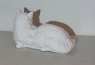 Picture 5 of 7
