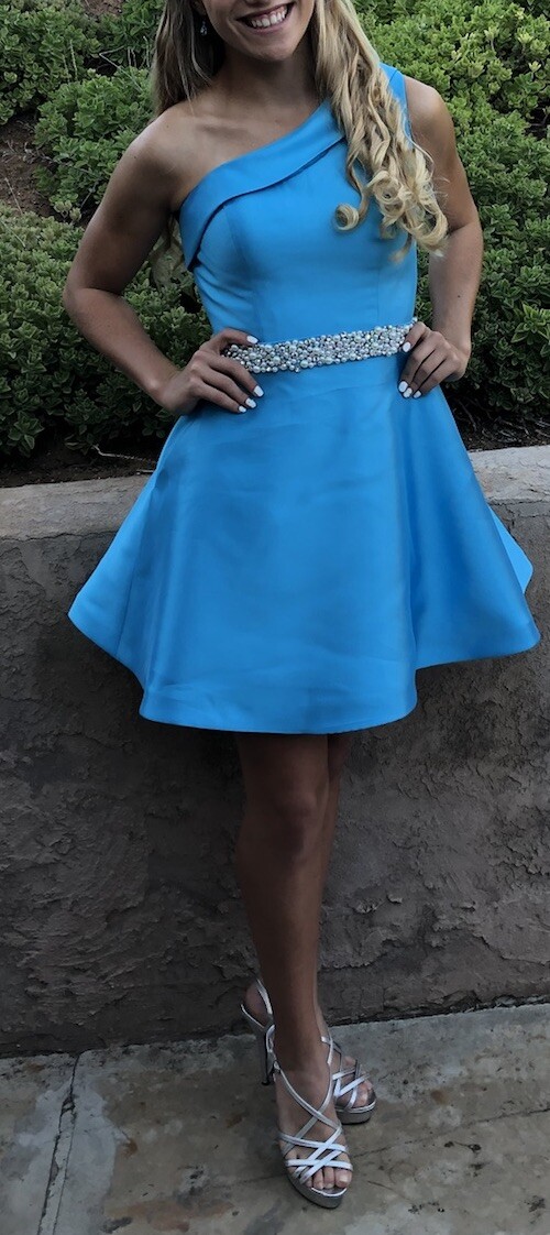 ashley lauren cocktail dresses ASHLEYlauren 4505
