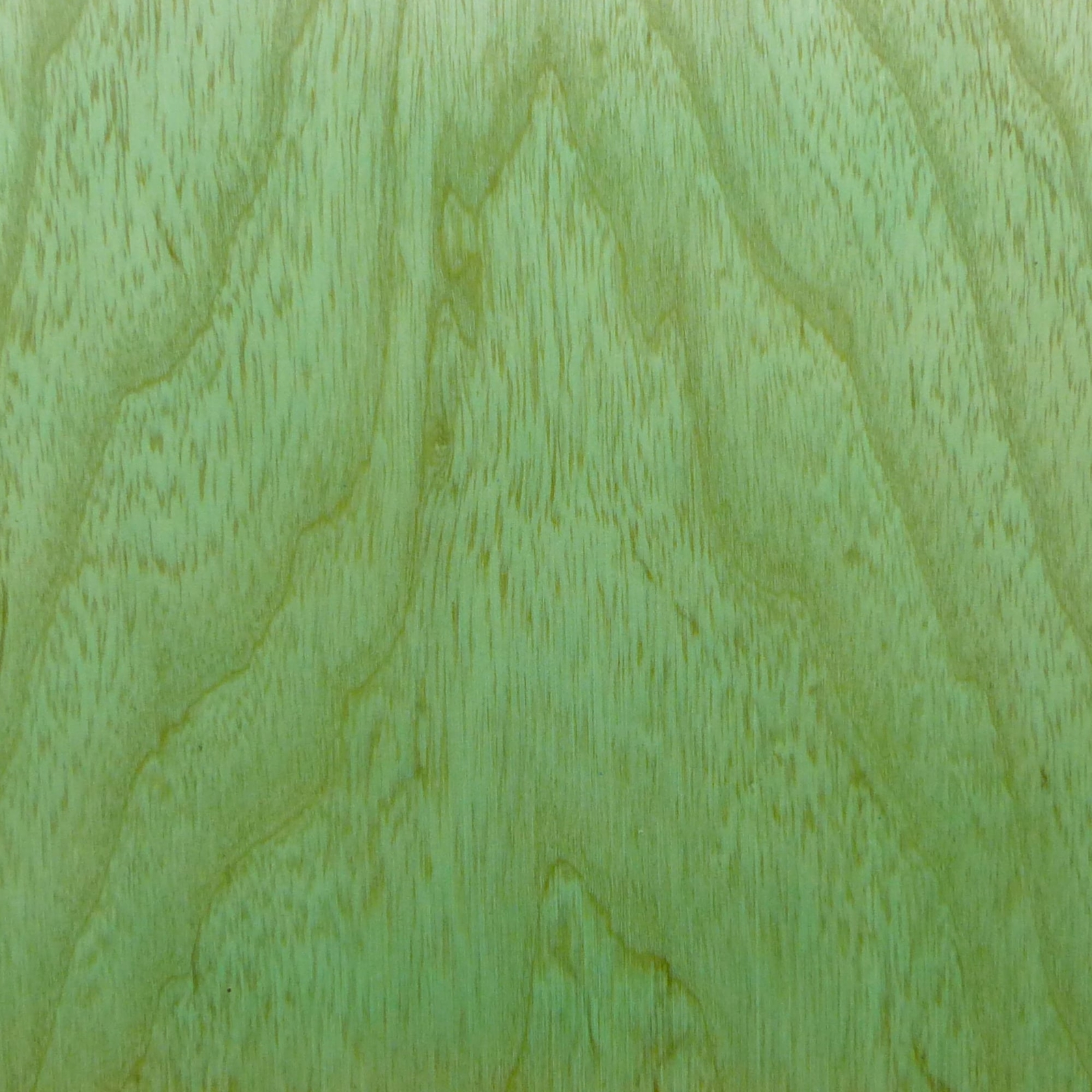 Picture 13 of 32
