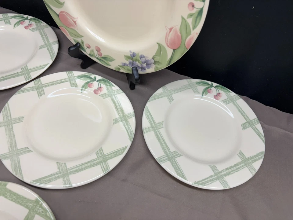 Pfaltzgraff "GARDEN PARTY" USA ~ 5 Piece Lot ~ Dinner, Salad, Dessert Plates - Image 3 of 4