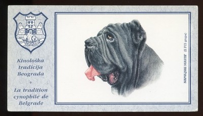 NEAPOLITANISCHES MASTIFF Italienischer Hund Farbkunst Postkarte veröffentlicht in Belgrad