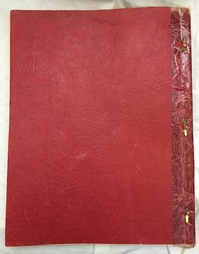 RARE Thumb's Up Huron County, MI Original Manuscript Historical Essays 1956 Book - Picture 5 of 11