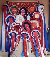 Personalised Rosette Holder/ Rosette Hanger , Show Rosettes , Dog Show Rosettes