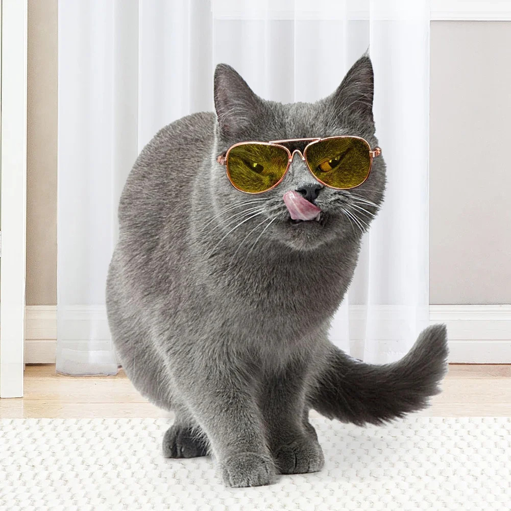 Occhiali da sole per cani e gatti lenti colorate divertenti accessori per animali domestici oggetti di scena fotografici cool foto 3