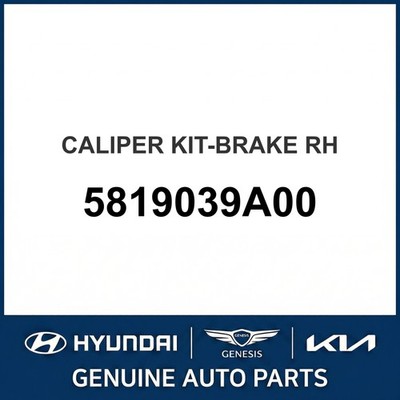 2000-2005 Hyundai XG300 Bremssattel Kit - Bremse OEM Neu 5819039A00