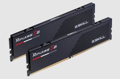 G.SKILL F5-6000J3040F16GX2-RS5K 32GB (2 x 16GB)/ DDR5 6000 MT/s/ XMP 3.0/Timi...