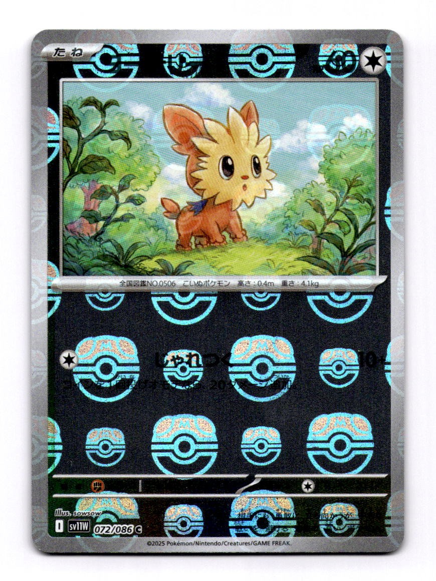Lillipup - (Master Ball Pattern) 072/086 Pokemon TCG SV11W: White Flare NM