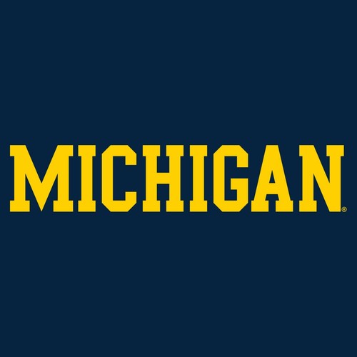 Basic Block University of Michigan Wolverines Licensed Mens Long Sleeve T-Shirt - 第 5/35 張圖片