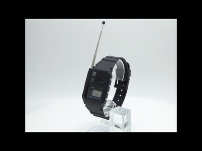 Casio TM-100 Voice Transmitter (Includes SONY FM Radio for testing