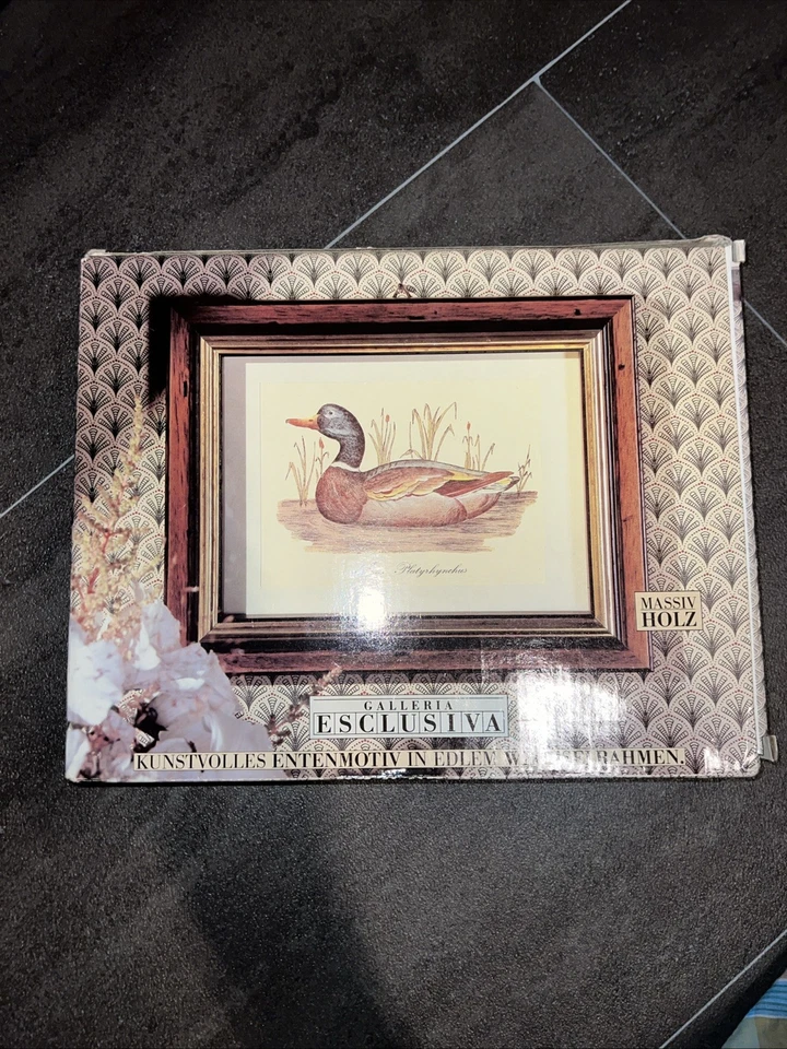 Vintage Kunstdruck Ente Anas Platyrkynchus in antikem Bilderrahmen aus Holz - Bild 3 von 3