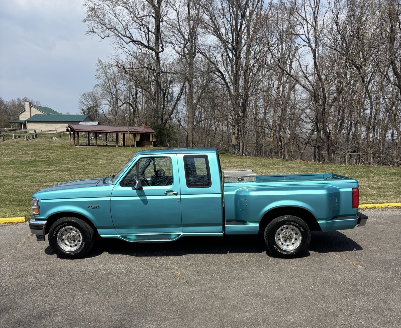1995 Ford F150 for sale in Goodlettsville Tennessee