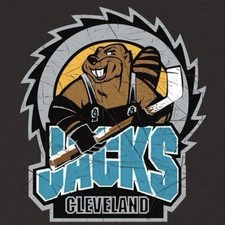 1996-97 Cleveland Lumberjacks Hockey Team Issued Postcards IHL