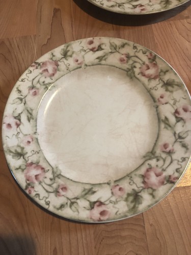 222 FIFTH SAVANNAH CHERI BLUM 2 DINNER PLATE/2 SALAD PLATE/3 CUP/3 SAUCER=10PC - Picture 7 of 8