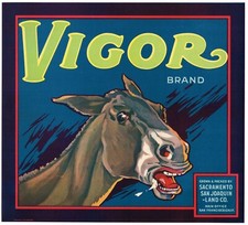  CRATE LABEL VIGOR SACRAMENTO SAN JOAQUIN BRA...
