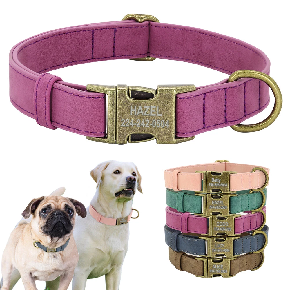 Custom Dog Collar Leather Personalized Name Plate Extra Small Medium Large Breed