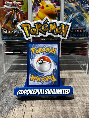 M Garchomp EX XY168 Black Star Promo Rara Carta Pokemon Holo mega - Foto 2 di 2