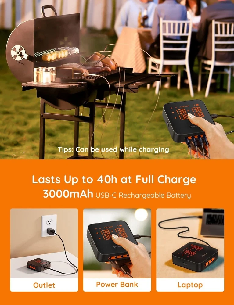 WiFi Meat Thermometer