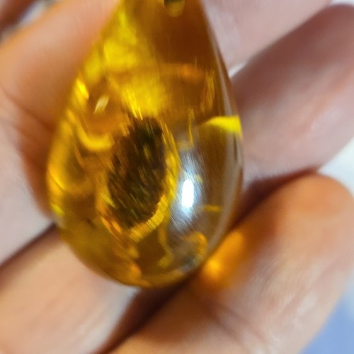 (AMBER) ACRYLIC SCORPION Pendant Charm Adjustable Rope Necklace (#1) - Picture 7 of 8