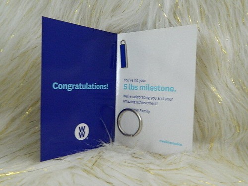 WEIGHT WATCHER 5 POUND WEIGHT LOSS AND KEYRING BRAND NEW FREE SHIP! |