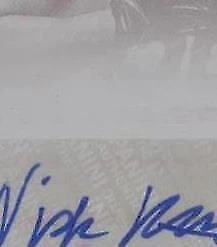 Printing Plate Magenta Signatures