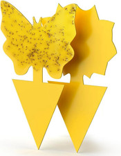 Sticky Insect Traps 40 Pcs - Gnats Fruit Fly Traps for Indoors House - Yellow Do