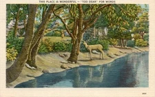 Asheville, NC, 28009 Pub, Colourpicture Publication, One Cent Stamp Postcard