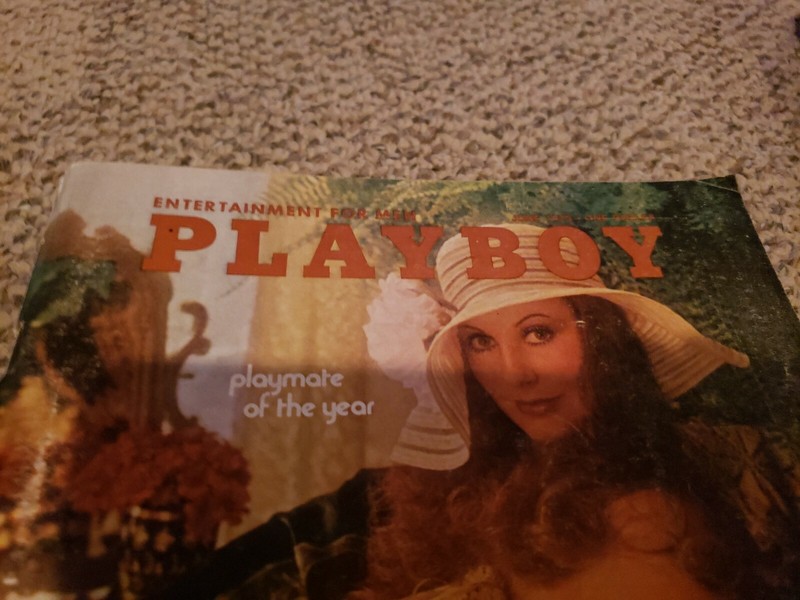 Playboy Magazine June 1973 Playmate Ruth Ross Birthday Present