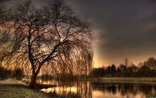 Landscape photography nature trees water outdoors low Custom Gaming Mat Desk