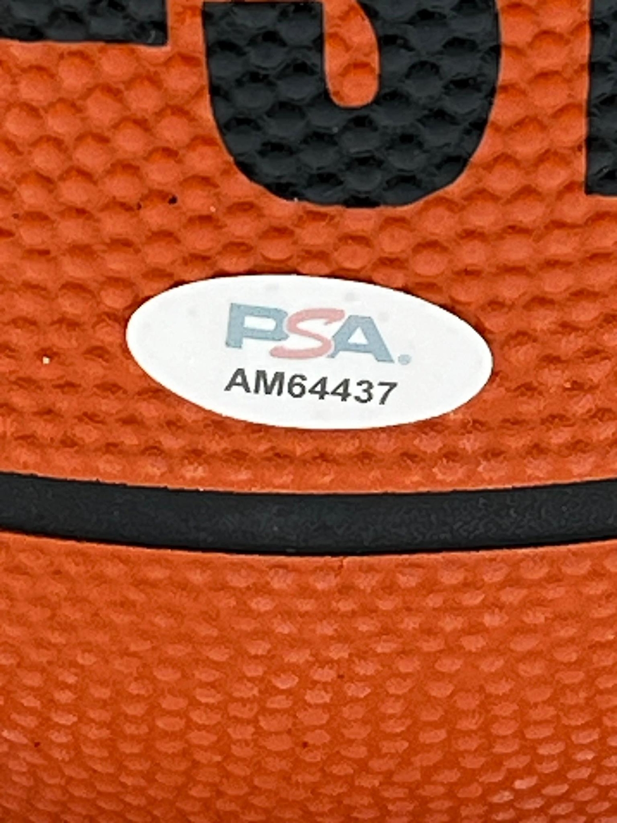 Jordan Walsh Signed Basketball PSA/DNA Autographed Arizona Razorbacks ...