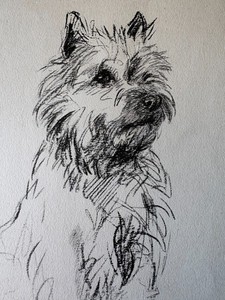 Cairn Terrier Print Lucy Dawson 1937