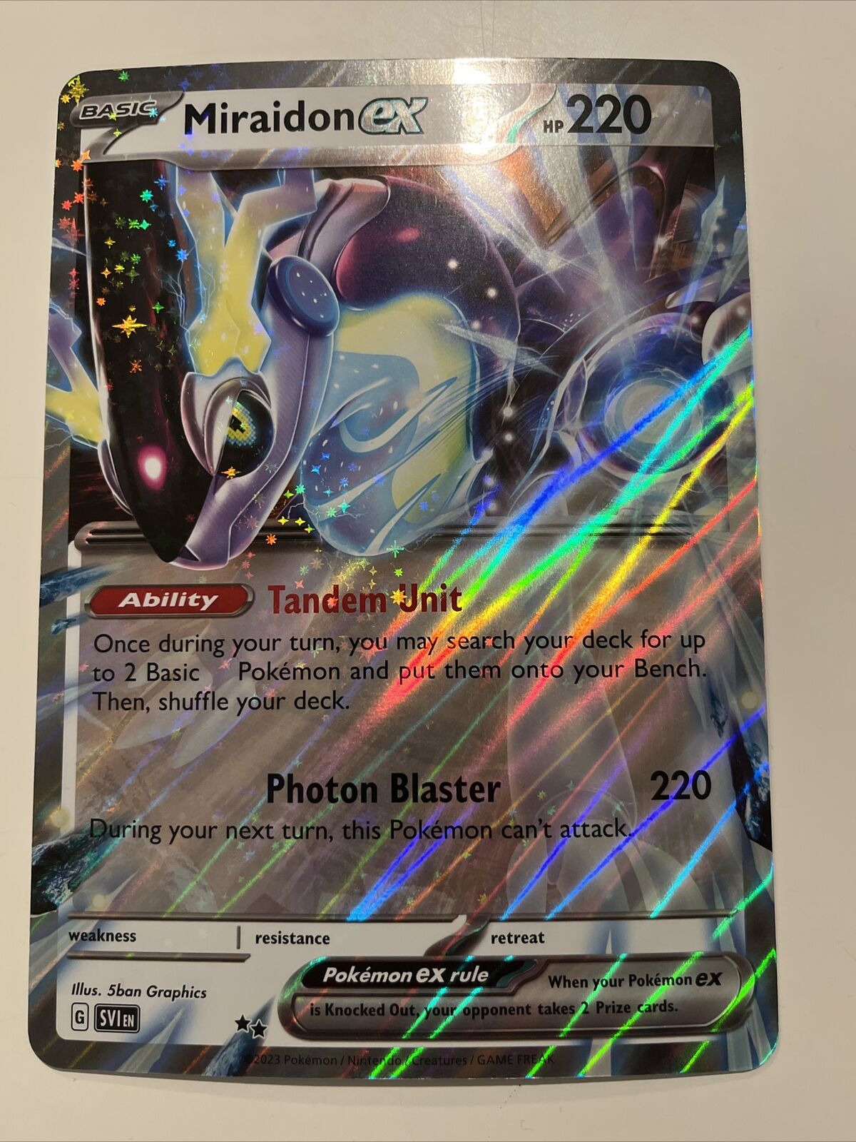 Pokemon TCG - Miraidon ex & Koraidon ex - Paldea JUMBO Promo Card M/NM