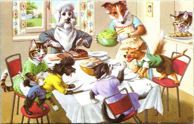 Mainzer Dressed Cats Fighting at Dinner Anthropomorphic Fantasy Postcard B12
