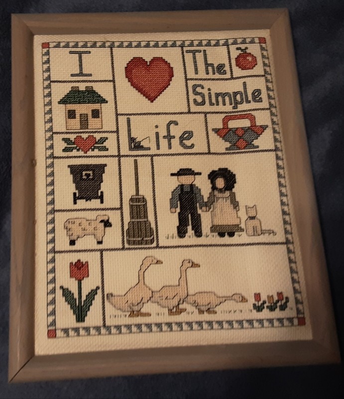 Framed Finished Cross Stitch "I Love the Simple Life"