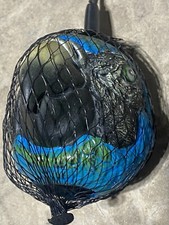 Parrot Head Squeaky Toy