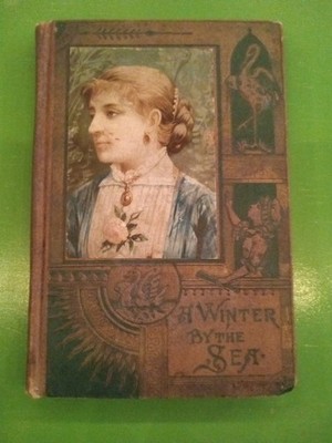 ''A Winter By The Sea'' 1879 Book Dodd Mead Publishing Free Shipping
