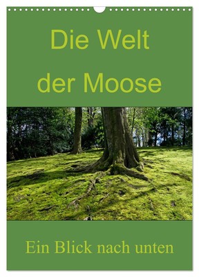 Die Welt der Moose. Ein Blick nach unten (Wandkalender 2026 DIN A3 hoch), CALVEN