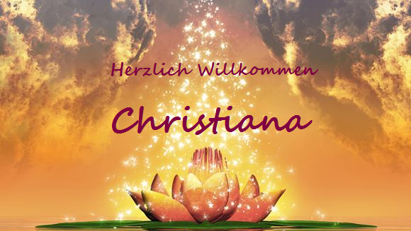 Bild 3 von 4
