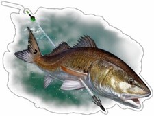 Redfish Arrowed Spear Fishing Fisherman Fish Car Bumper Vinyl Sticker Decal 5x4
