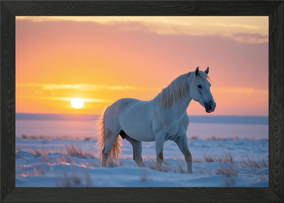 White Horse at Sunset Framed Wall Art Poster Canvas Print Picture