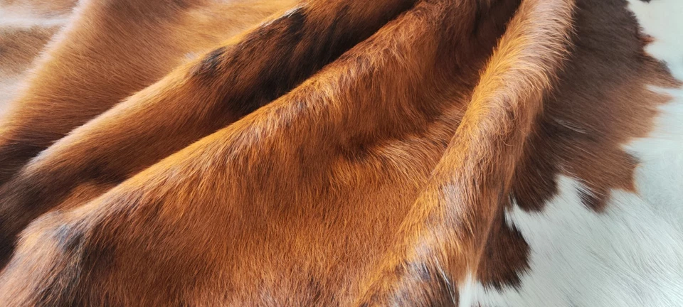 Cowhide Rug Tricolor High Quality Hair on Hide Size: Medium(M)AX140 - Image 3 of 4