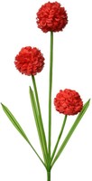 Clayre & Eef 5PL0132R Dekoration Zweig Mit Blumen Rot 12X8X84 Cm