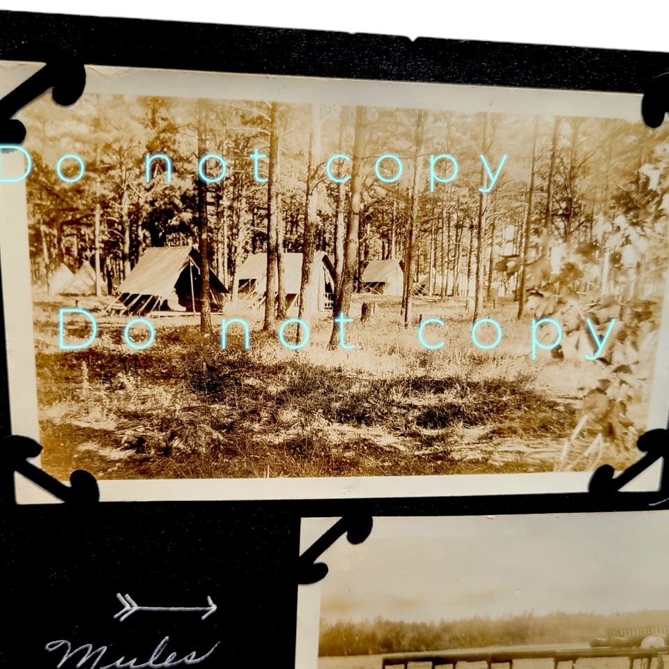 1920 Vintage Plattsburgh NY OFFICER's CAMP ORIGINAL Photo Lot Tents