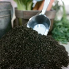 Organic Worm Castings – Nutrient-Rich Soil Supplement for Houseplants 🌱🌿
