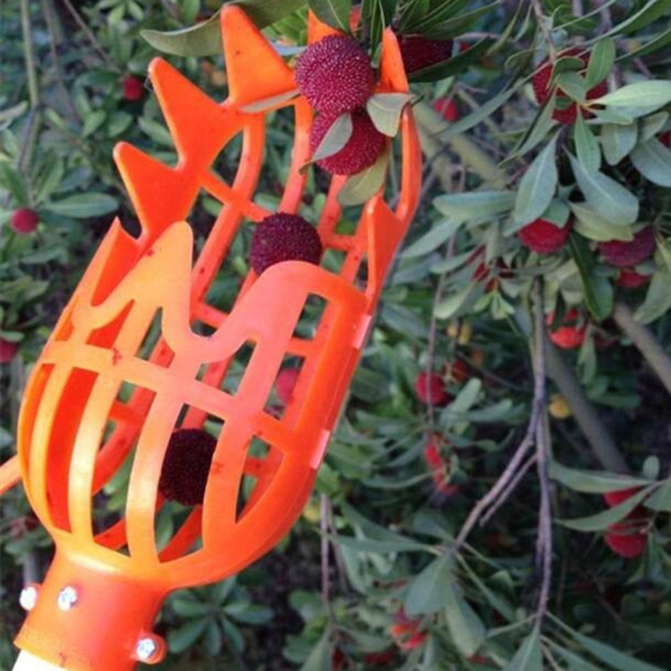 Fruit Picker Head Basket Picking Harvester Horticulture Gardening Tool