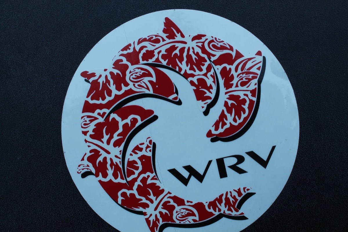 WRV Wave Riding Vehicles Surfboards Red Dolphins OG V41A Vintage